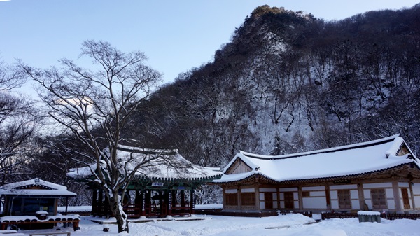 내장산과 어우러진 내장사. 고즈넉하고 호젓한 산사의 모습이다. ⓒ 최기영