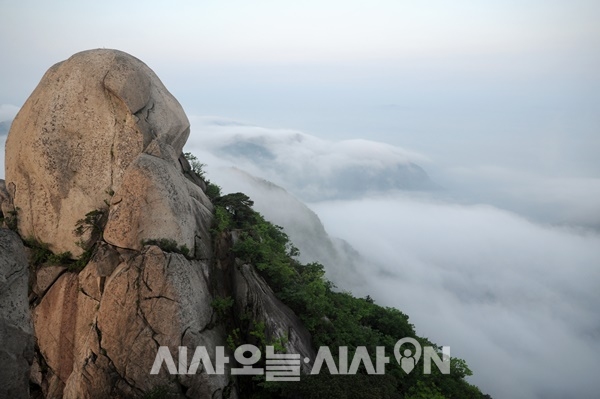 운해와 함께 어우러진 만경대의 거대한 암봉의 모습 ⓒ 최기영