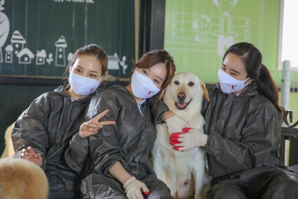 티웨이항공은 반려동물을 위한 사랑의 후원금을 전달하고 청소 봉사를 진행했다고 31일 밝혔다. ⓒ티웨이항공