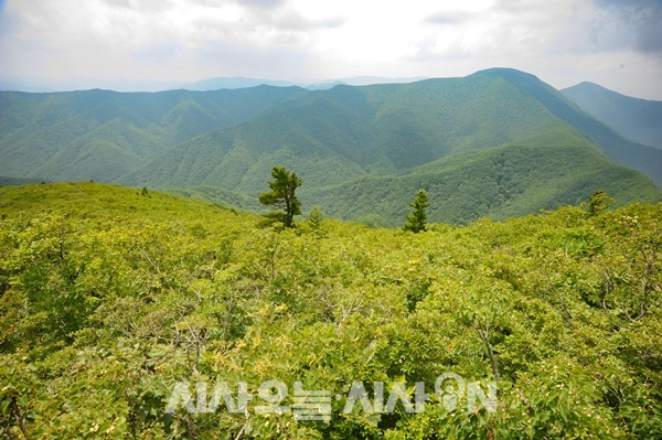 9부 능선에서 본 시원한 두타산의 산세 ⓒ 최기영