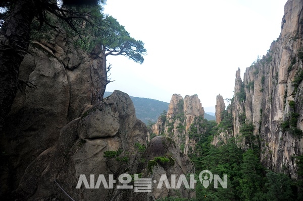 전망대에서 본 두타산 베틀바위. 뾰족하고 기다란 바위가 연달아 이어져 있는 모습이 실로 장관이다 ⓒ 최기영