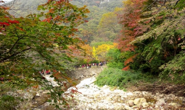 내장산 등산로. ⓒ정명화 자유기고가