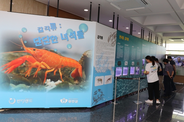 무주군은 여름 휴가철을 맞아 군내 대표관광지 ‘반디랜드’를 오는 9월 4일까지 휴무 없이 운영한다고 8일 밝혔다. ⓒ무주군